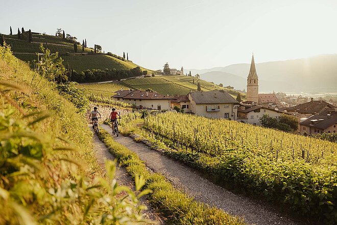 Tramin Wein Fahrrad