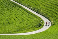 Zwei Radfahrer in einer langen Kurve inmitten grüner Natur.
