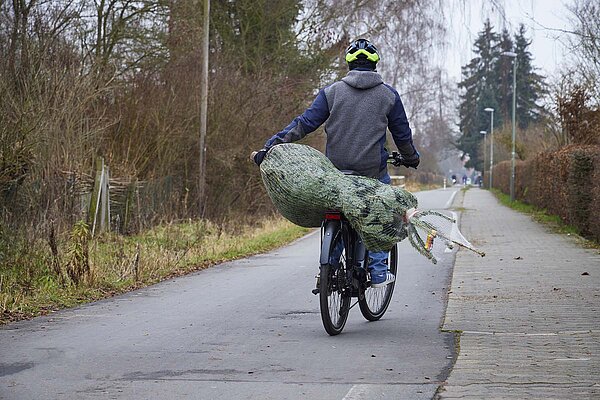 Wie man einen Weihnachtsbaum sicher mit dem Velo transportiert. Ein Mann fährt einhändig auf dem Fahrrad. Auf dem Gepäckträger liegt ein Tannenbaum.
