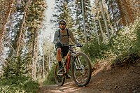 Bundeswaldgesetz Deutschland. Eine Person fährt auf einem Mountainbike im Wald.