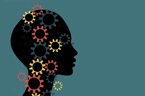 Velofahren beeinflusst das Gehirn