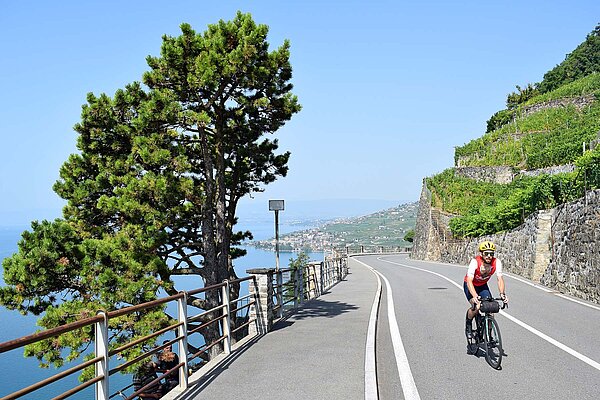 Radfahrer auf einer Strasse. 